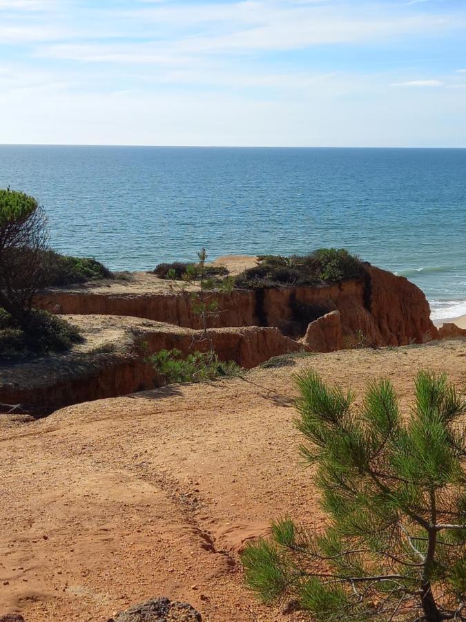 Paradise On The Beach Albufeira Eksteriør billede